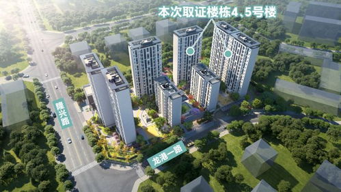 195萬總價觸發青年購房血脈覺醒，東三環精裝套三新房掀起搶購潮